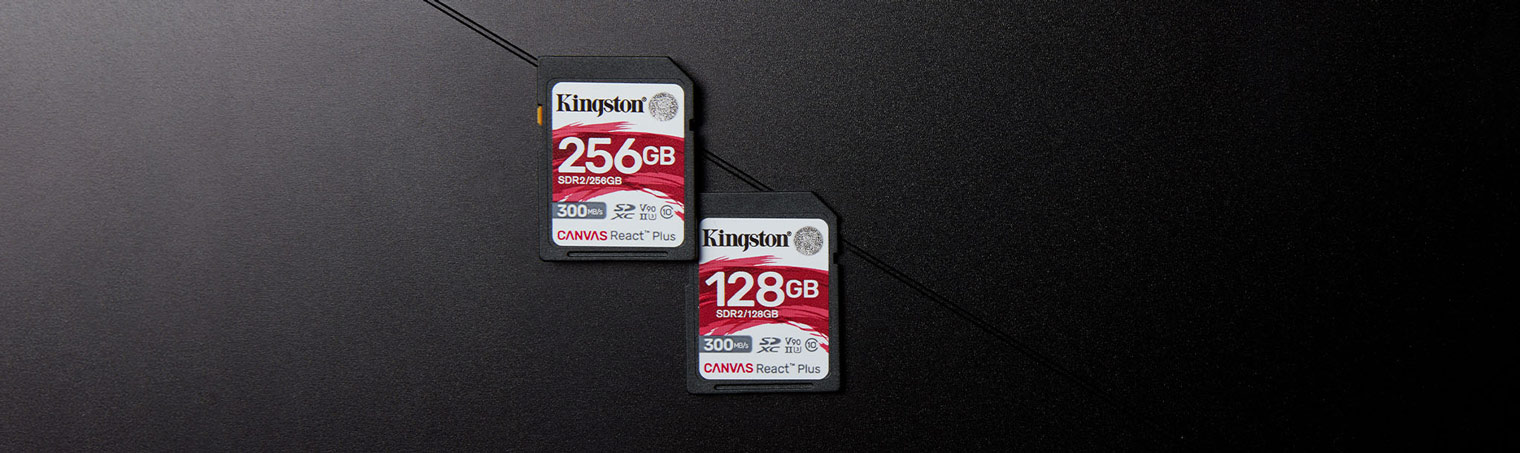 Kingston SDXC Canvas React Plus