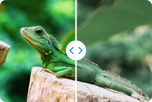 Responsive Image