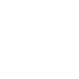 Speed icon