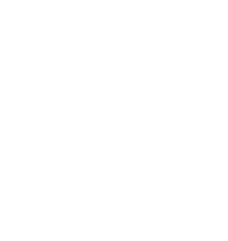 display icon