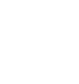 display icon
