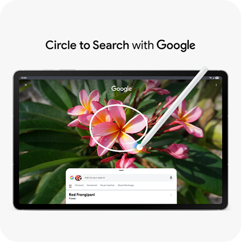Responsive Image