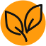 GMO free icon
