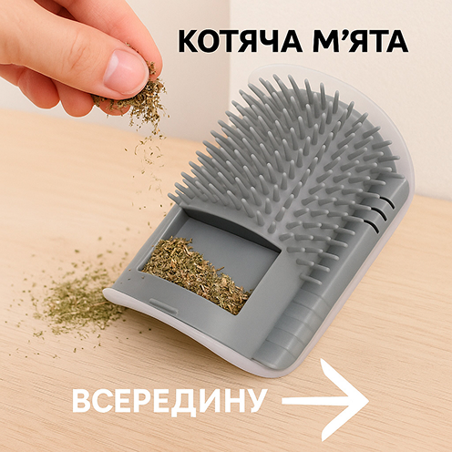 Котяча м'ята