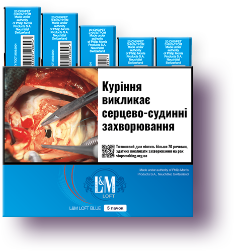 Миниблок сигарет L&M Loft Blue x 5 пачек (7622100545668) – фото