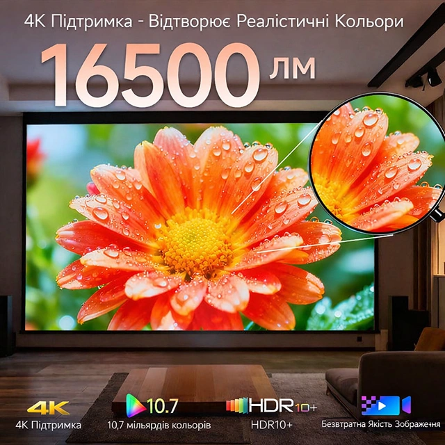 Яркое и детализированное изображение