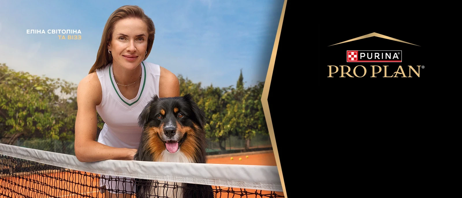 Purina Pro Plan Protein & Energy