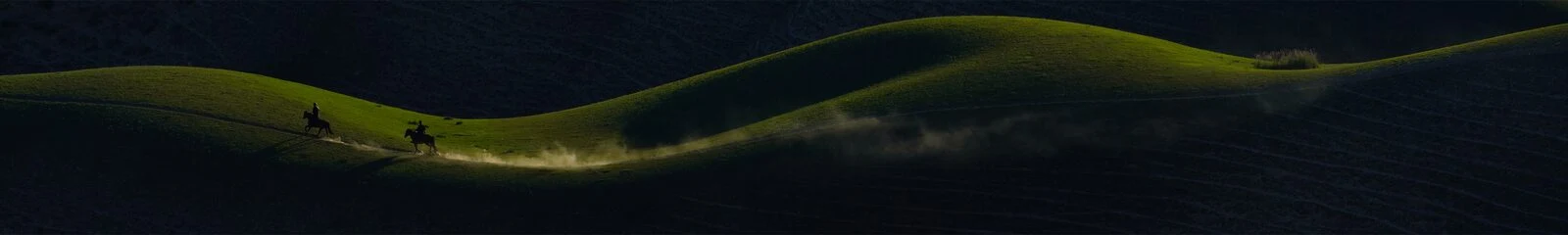 Качество изображения