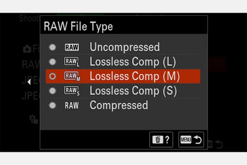 LCD-дисплей камеры: экран выбора изображений в формате RAW