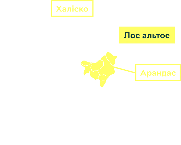 Мапа регіону Лос-Альтос, штат Халіско