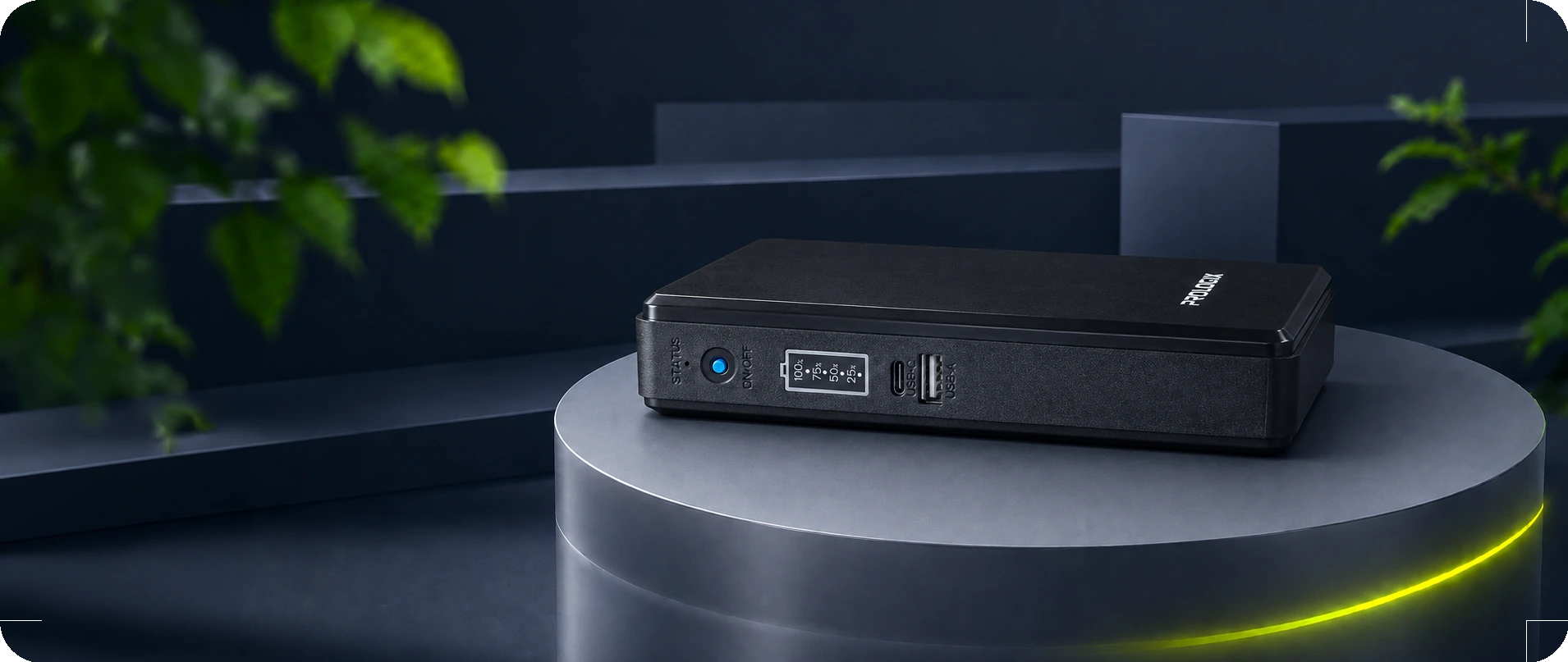 Mini UPS Prologix PLP3660ECO рядом с комнатным растением
