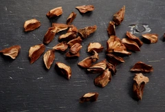 Көпшілік сперматозоидпен кисканы толтырды Көпшілік сперматозоидпен кисканы толтырды