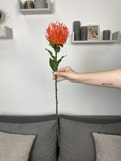 N＠✨ 348304103.jpg