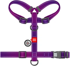 akeshogo専用 416084434.jpg