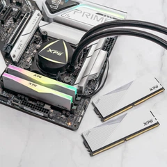 Оперативная память ADATA DDR5-6400 32768MB PC5-51200 (Kit of
