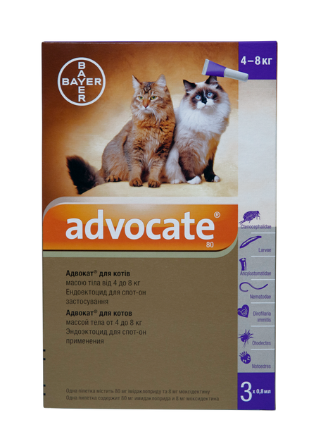 Капли Elanco (Bayer) Advocate (Адвокат) от заражений эндо и экто паразитами для котов 4-8 кг 3 пипетки (4007221031970) - Фото 7 Капли Elanco (Bayer) Advocate (Адвокат) от заражений эндо и экто паразитами для котов 4-8 кг 3 пипетки (4007221031970) - изображение 7