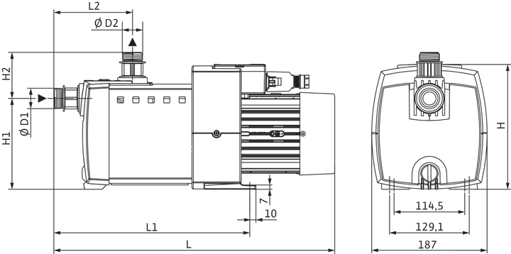 Центробежный насос Wilo HiMulti 3-23 P (4194279) - изображение 2