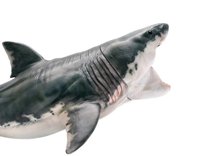 Фигурка BauTech Мегалодона Megalodon Акула (1006-619-00) - изображение 4
