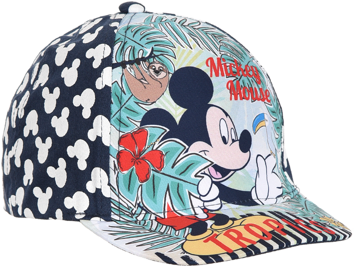 Бейсболка Disney ET4090 50 см Нави (3609084290559) – в интернет ...
