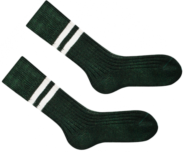 Шкарпетки Sammy Icon Vert 36-40 - Фото 3 Шкарпетки Sammy Icon Vert 36-40 - изображение 3