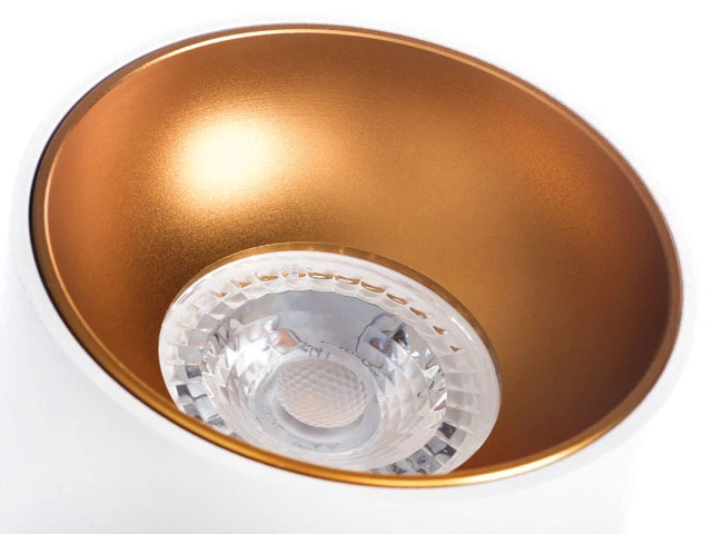 Lampa sufitowa Kanlux Riti GU10 W/G (KA-27570) - obraz 2