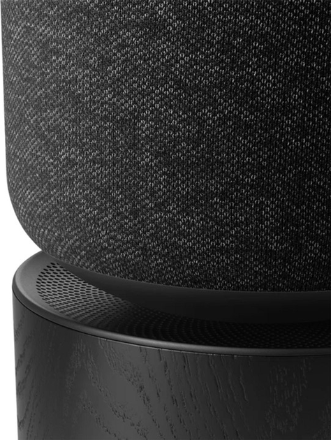 Акустическая система Bang & Olufsen Beosound Balance Black Oak (1200503) - изображение 6