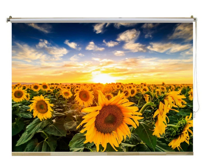 Рулонный экран для проектора ПРО-ЭКРАН 160х120 см (4:3), 80 дюймов ...