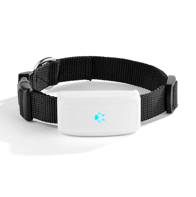 GPS нашийник TK 911 mini - Фото 4 GPS нашийник TK 911 mini - зображення 4