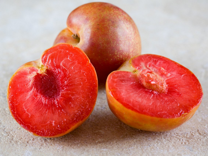 Особливості вирощування гібриду персика і абрикоса