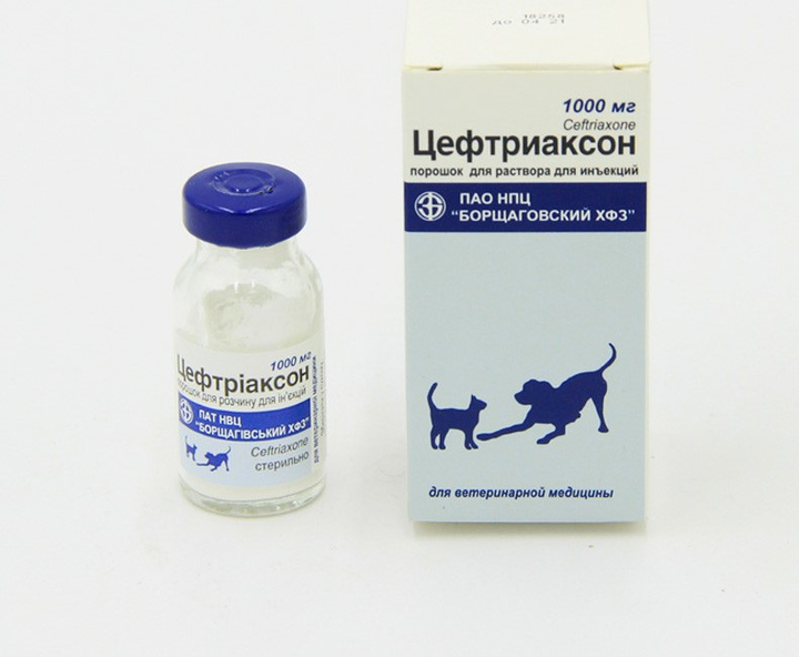 Цефтриаксон для животных в интернет-магазине ROZETKA. 😺 Купить недорого ...