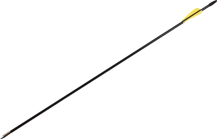 Стріли Grand Way для лука з скловолокна 5 шт (A8) - зображення 1