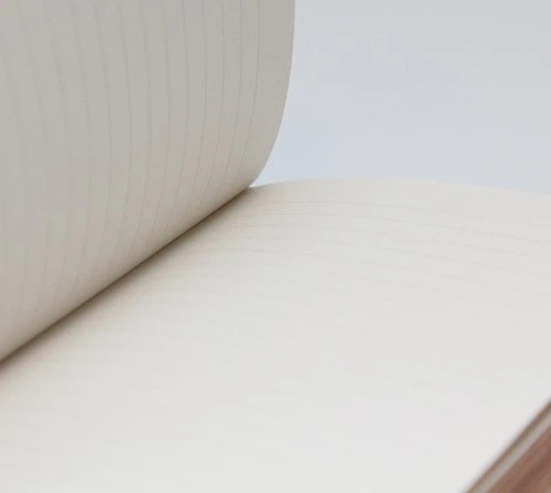 Блокнот Paperblanks Стара Шкіра Синій Каліпсо Flexi середній 13 х 18 см в лінію - изображение 6