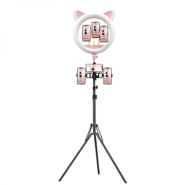 Лампа для съемки напольная кольцевая с штатив-треногой Cat Ring Light RK-45 - Фото 1 Лампа для съемки напольная кольцевая с штатив-треногой Cat Ring Light RK-45 - изображение 1