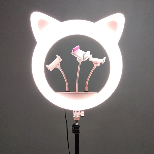 Лампа для съемки напольная кольцевая с штатив-треногой Cat Ring Light RK-45 - Фото 8 Лампа для съемки напольная кольцевая с штатив-треногой Cat Ring Light RK-45 - изображение 8