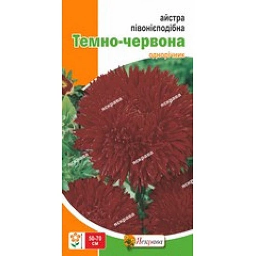 Семена Астра пионовидная Темно-красная (726764) - изображение 2