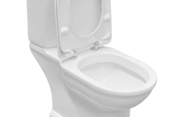 Чаша унитаза напольная RAK CERAMICS Washington WT11AWHA без бачка и ...