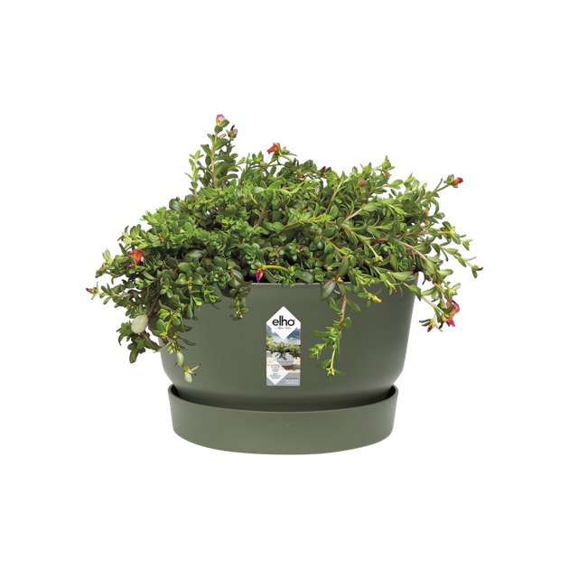 Горшок для цветов Elho Greenville bowl круглый 11,6л 33 x 19 см (332464) Зеленный - изображение 5
