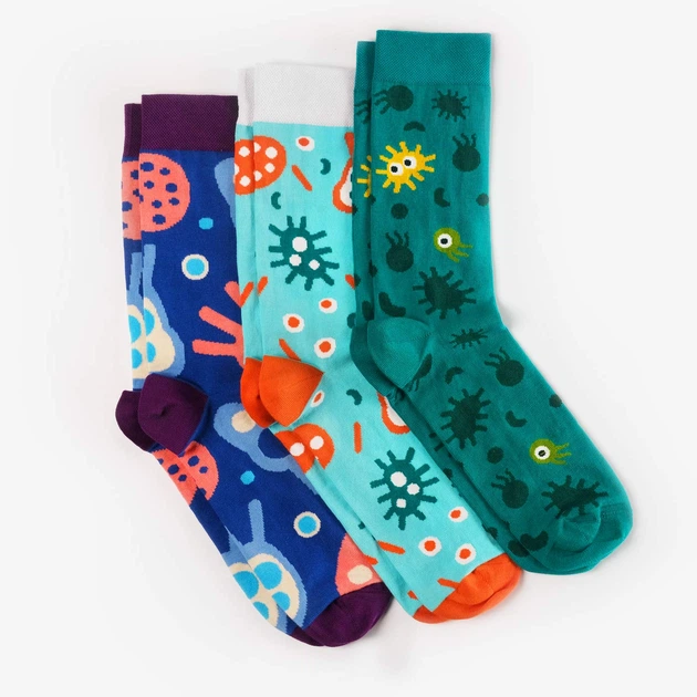 Набір шкарпеток Dodo Socks Micro 36-38 - Фото 1 Набір шкарпеток Dodo Socks Micro 36-38 - изображение 1