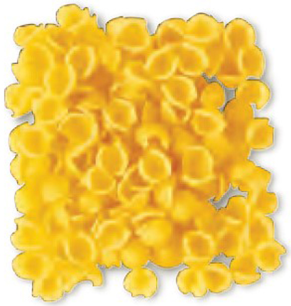Макароны Pasta Zara Perline 500 г (8004350130242) – купить по низкой ...