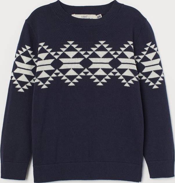 Джемпер H&M 0796148 110-116 см Темно-синій (2000001754788) - зображення 1