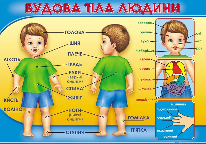 Картина нитью из любой фотографии