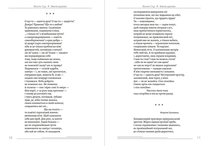Вибрані твори (Зимові дерева, Веселий цвінтар, Палімпсести, Круговерть) - Василь Стус (978-089-0008-00-3) - зображення 6