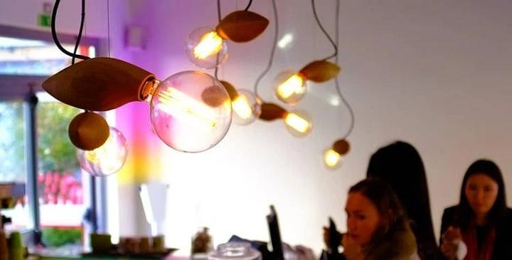 Подвес потолочный Swarm Lamp D10 L20cm - изображение 8