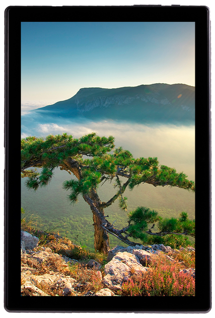 Планшет Sigma mobile X-style Tab A1010 4G 64 GB Grey (4827798766224) + чохол-книжка в комплектi! - зображення 1