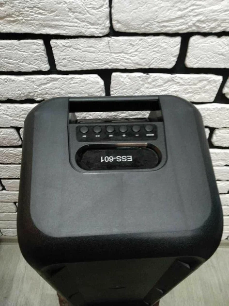 Беспроводная портативная аккумуляторная колонка Super Bass Spearker ESS-601 с микрофоном Bluetooth на 2 динамика Черная - изображение 4