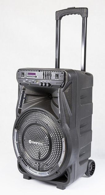 Акустическая колонка Manta SPK5033 Party Audio - изображение 2