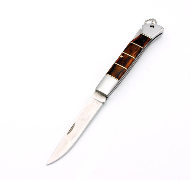 Нож складной Colunbia G21 19см (t4612) - зображення 1