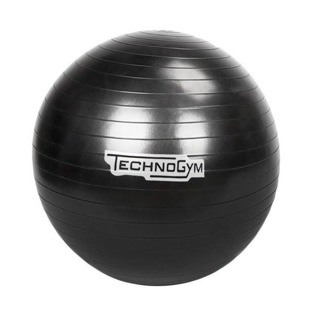 Мяч для фитнеса (фитбол, гимнастический мяч) TechnoGym 65 см черный ...