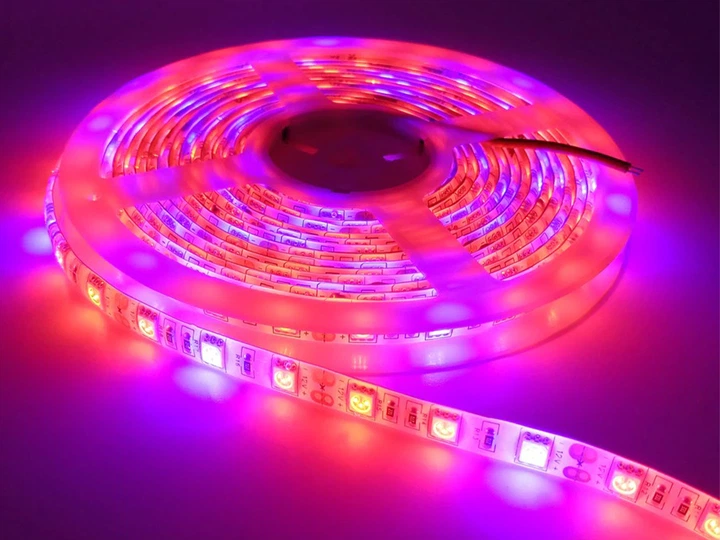LED фитолента BauTech Для росту рослин з повним спектром (4 червоних, 1 синіх) 5 м (1005-274-02) - зображення 2