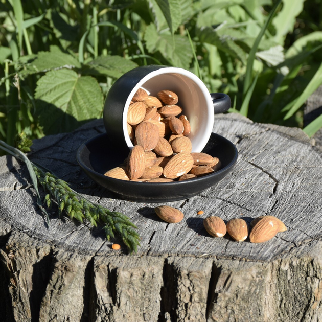 Миндаль жареный 100г. от продавца: Almond – купить в Украине – ROZETKA ...